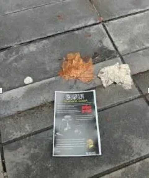 تزايد نفوذ تنظيم فرسان العزة التابع لـ داعش في فرنسا: أنشطة تجنيد وتمويل سري